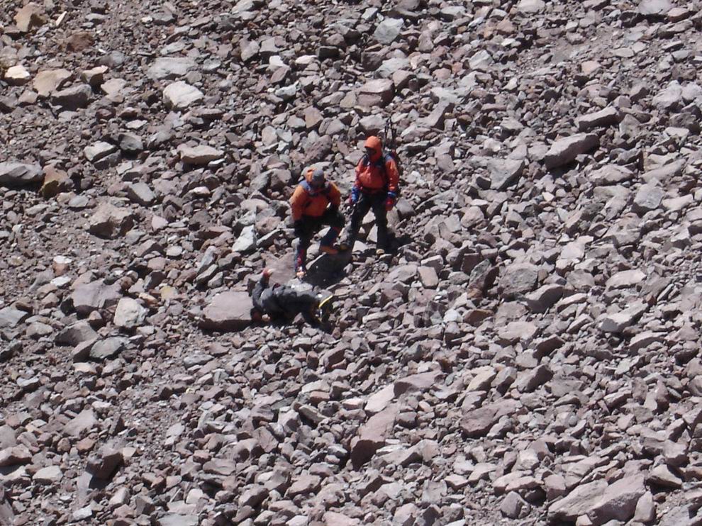 La policanoj rul-faligas la kadavron.