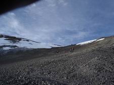 Suprenirado spite al malvarma vento.